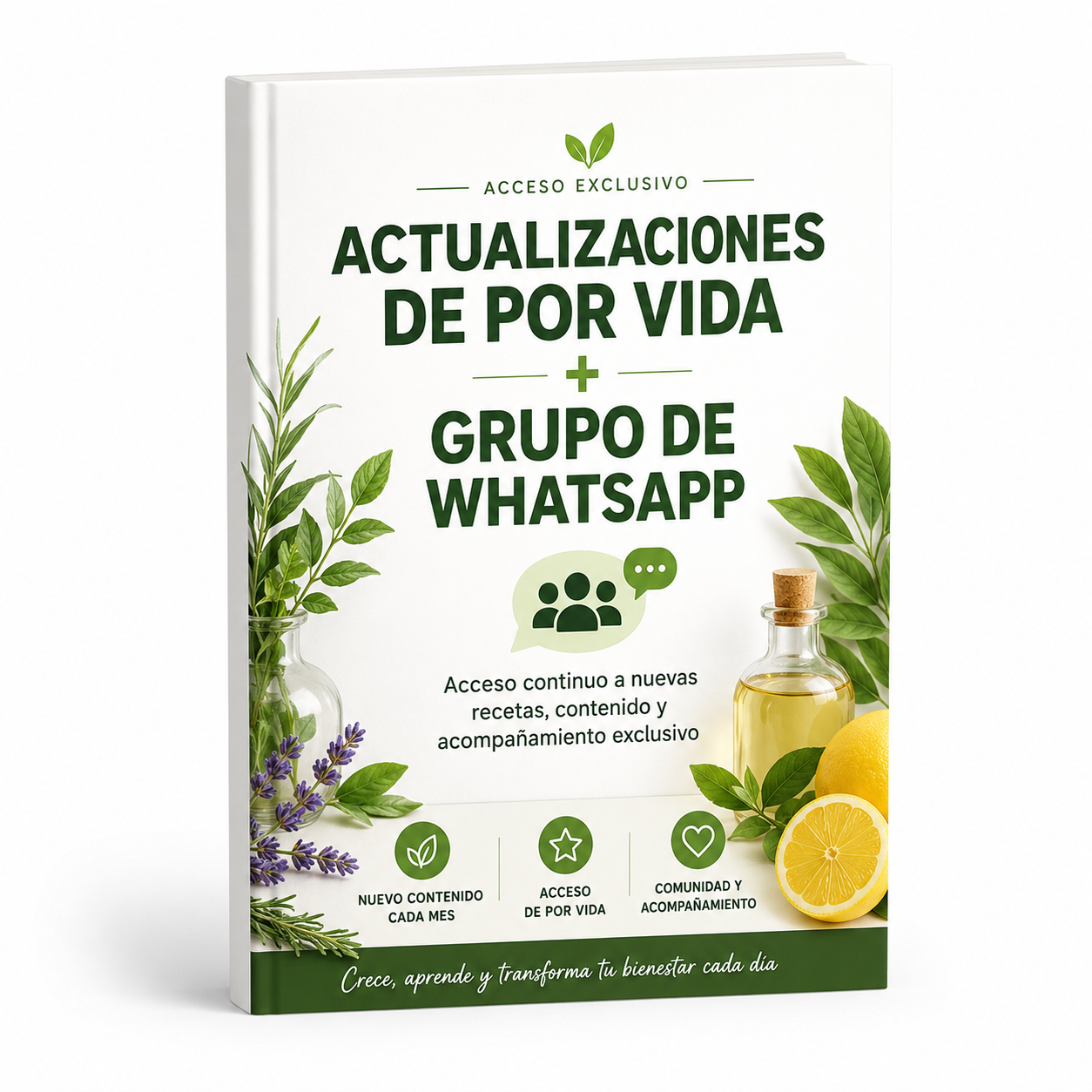 Actualizaciones de por vida + Grupo de Whatsapp